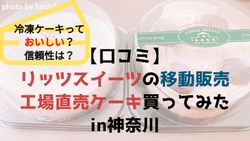 ノムラ・ジャパン　ケーキ　リッツスイーツ　渓濱商事　神奈川